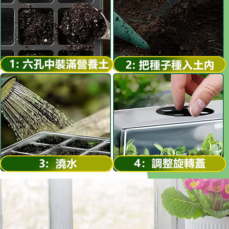 1727820883799080.jpg 6.jpg