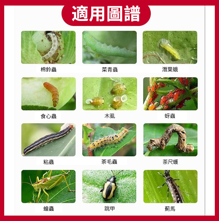 1733293271294149.jpg c9339517e22194ac04c2b398f0c2deb5.jpg