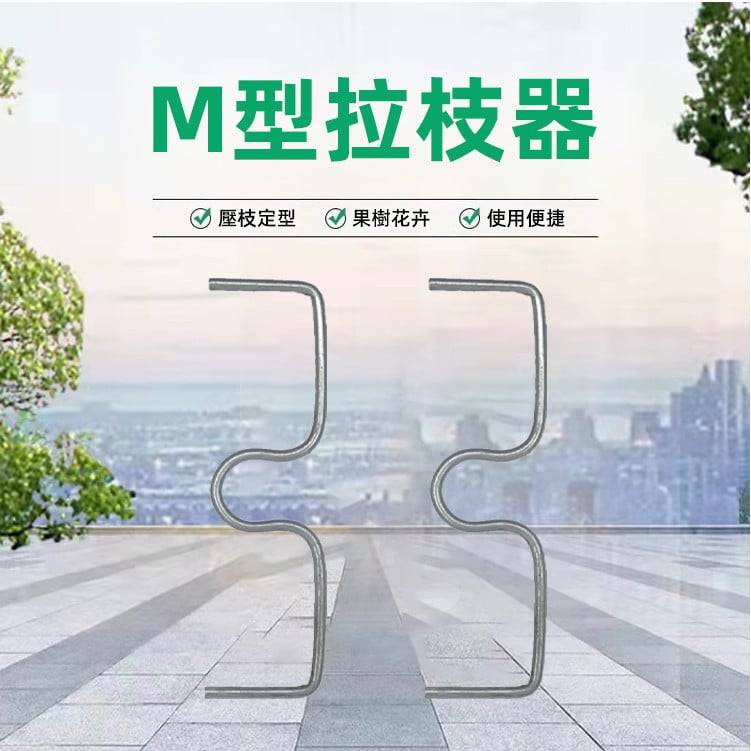 1733402450864540.jpg 650c921dd0d24a2ea8d9f06eca8befa4.jpg