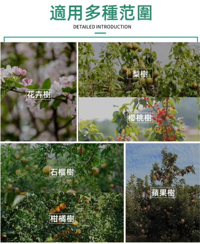 1733402482938299.jpg de3b5175ba5f4b3bb9f9673ad1ebd979.jpg